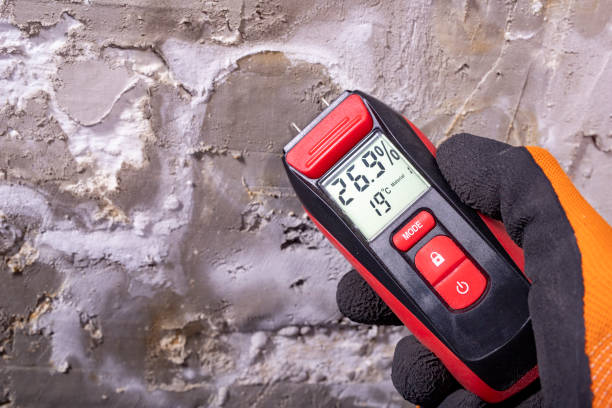 Best Office Mold Removal Services  in Monument, CO