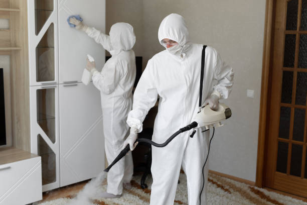 Best Toxic Mold Removal  in Monument, CO