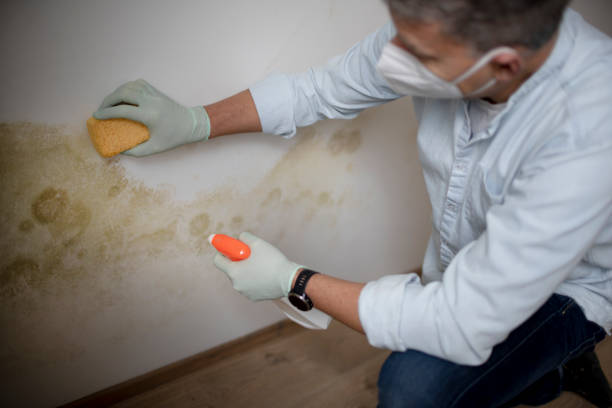 Water Damage Restoration in Monument, CO